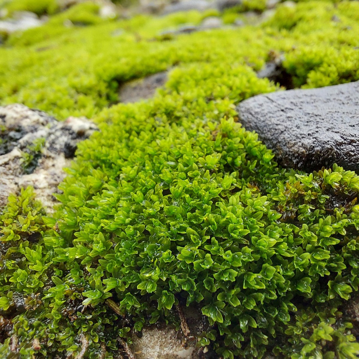 Thanks a lot&nbsp;Covid!